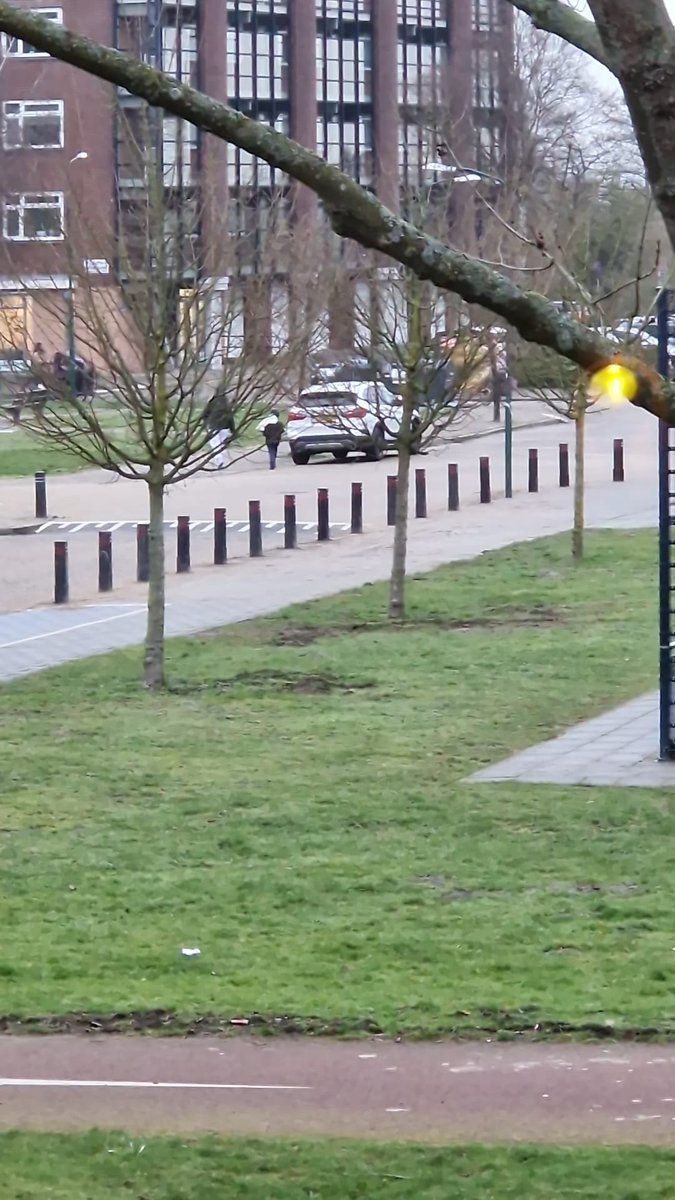 lisettekv's tweet photo. @GemeenteBaarn welke toegevoegde waarde hebben deze 16 palen op hoek krabbelaan oude werf. Is het voorraad opslag of  tegen parkeren. Dat laatste word daar amper gedaan
Eerder op de kennedylaan stoep https://t.co/JbyjQeqTrE