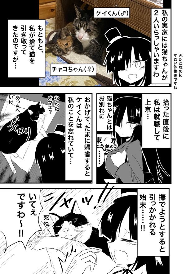 実家の猫ちゃん漫画(再掲)
 #猫の日 