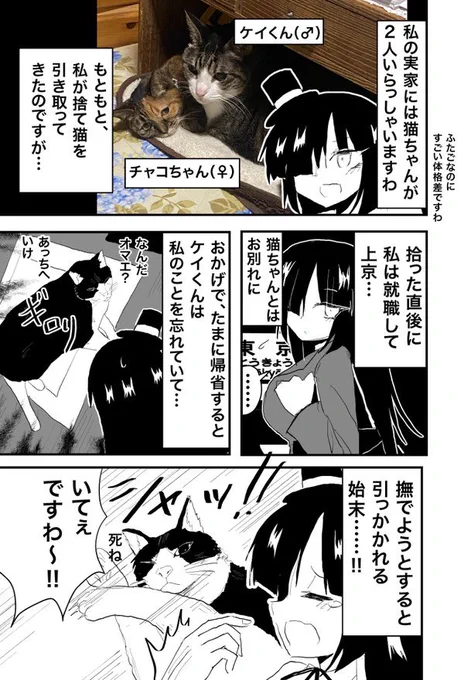 実家の猫ちゃん漫画(再掲)
 #猫の日 