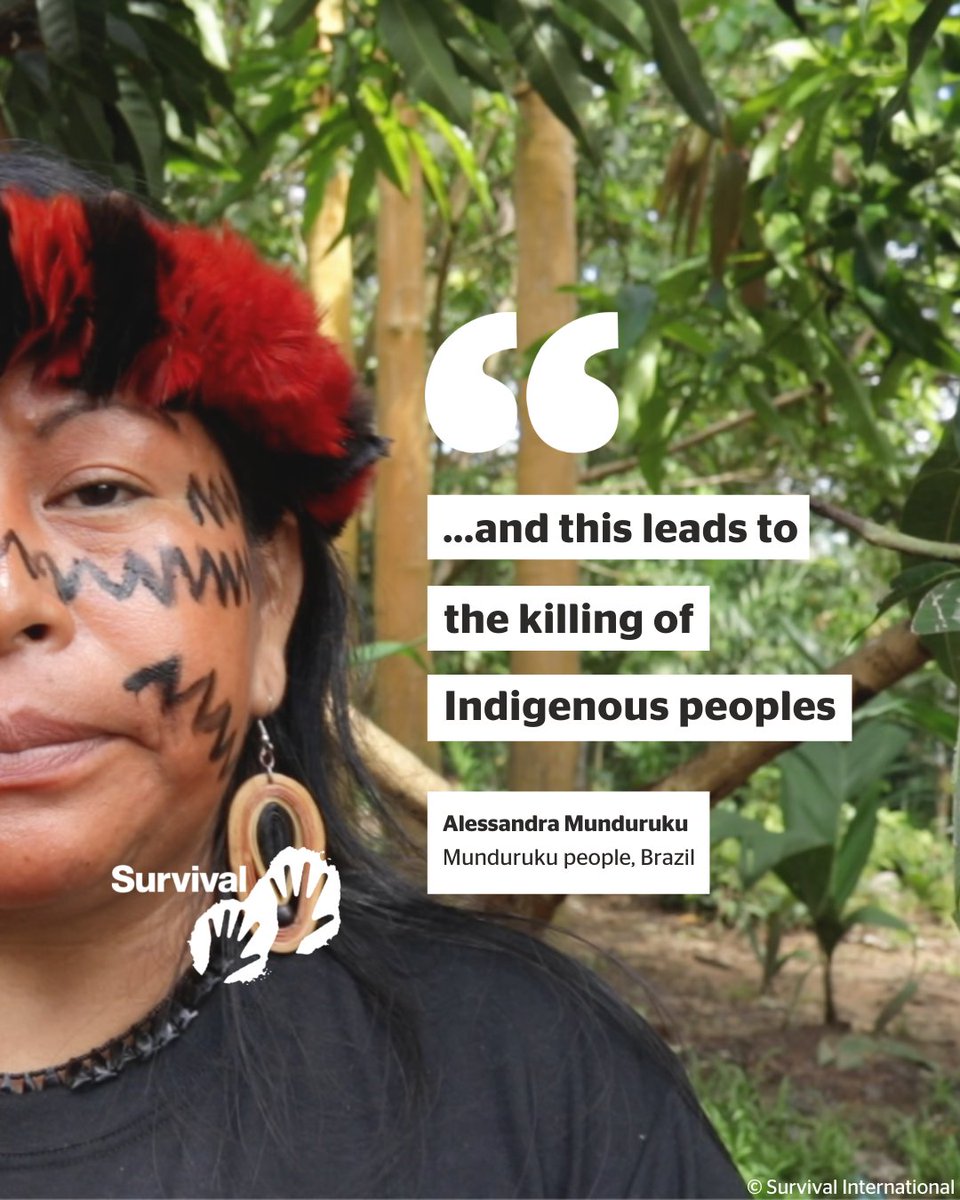 Survival's tweet photo. The illegal gold rush that's been happening in the #Yanomami territory isn't an isolated situation... blood gold is being mined in Indigenous territories across #Brazil ❌

1/ https://t.co/TSPLETe3r4
