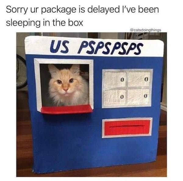 Catfluence's tweet photo. Shoutout USPSPSPSPS โ๏ธ๐ป @USPS
via MrMiracle27/Reddit
#catfluence #catsofisntagram #usps #mail #cats https://t.co/NKXwVleq4q