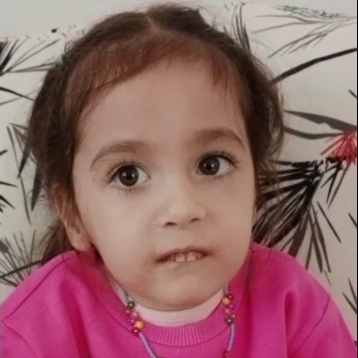 Güzel kızımız Merve hepimiz için savaşıyor. Sizlerin bağışları sayesinde bu hastalığı yenecek. Yürüyecek, koşacak,okula gidecek. Kim bilir belki doktor bile olacak. Her bağışınız Merve için hayat demek.

Bağış için taplink 👇🏽💛
taplink.cc/smamerveyeumut…