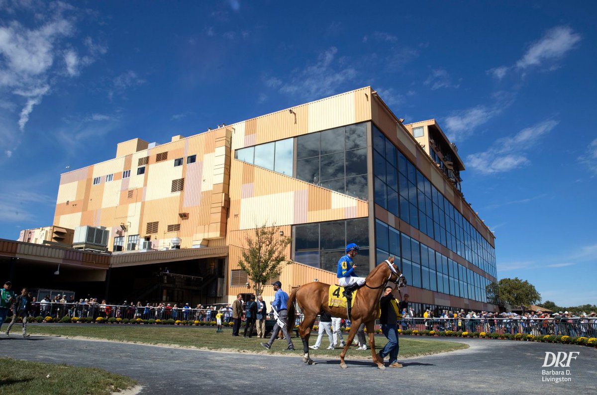 Daily Racing Form on Twitter: "Tuesday's race of the day is Race 6 at ...