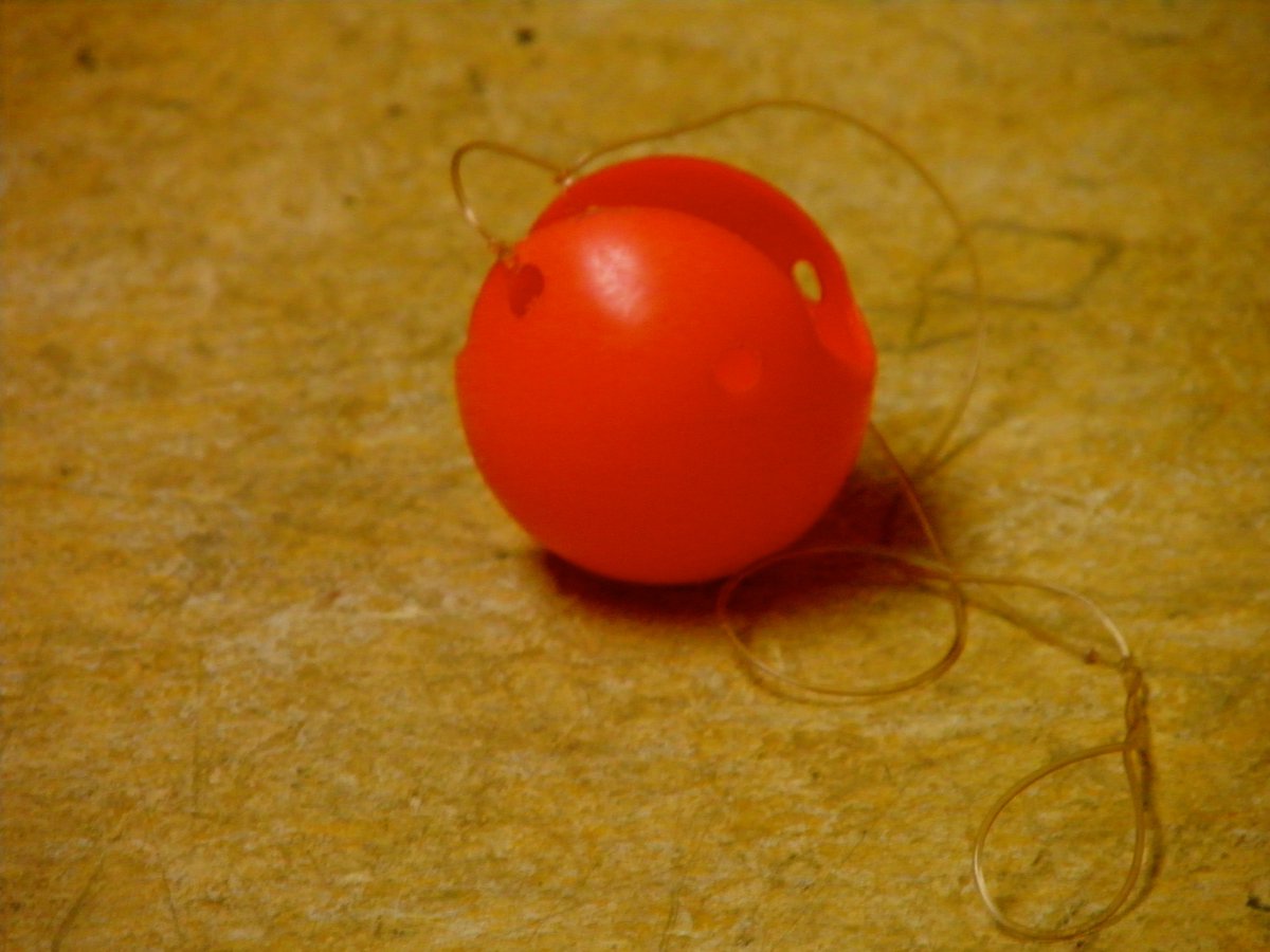 Pady O'Connor tweet media