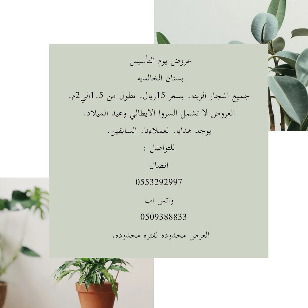 بستان الخالديه tweet media