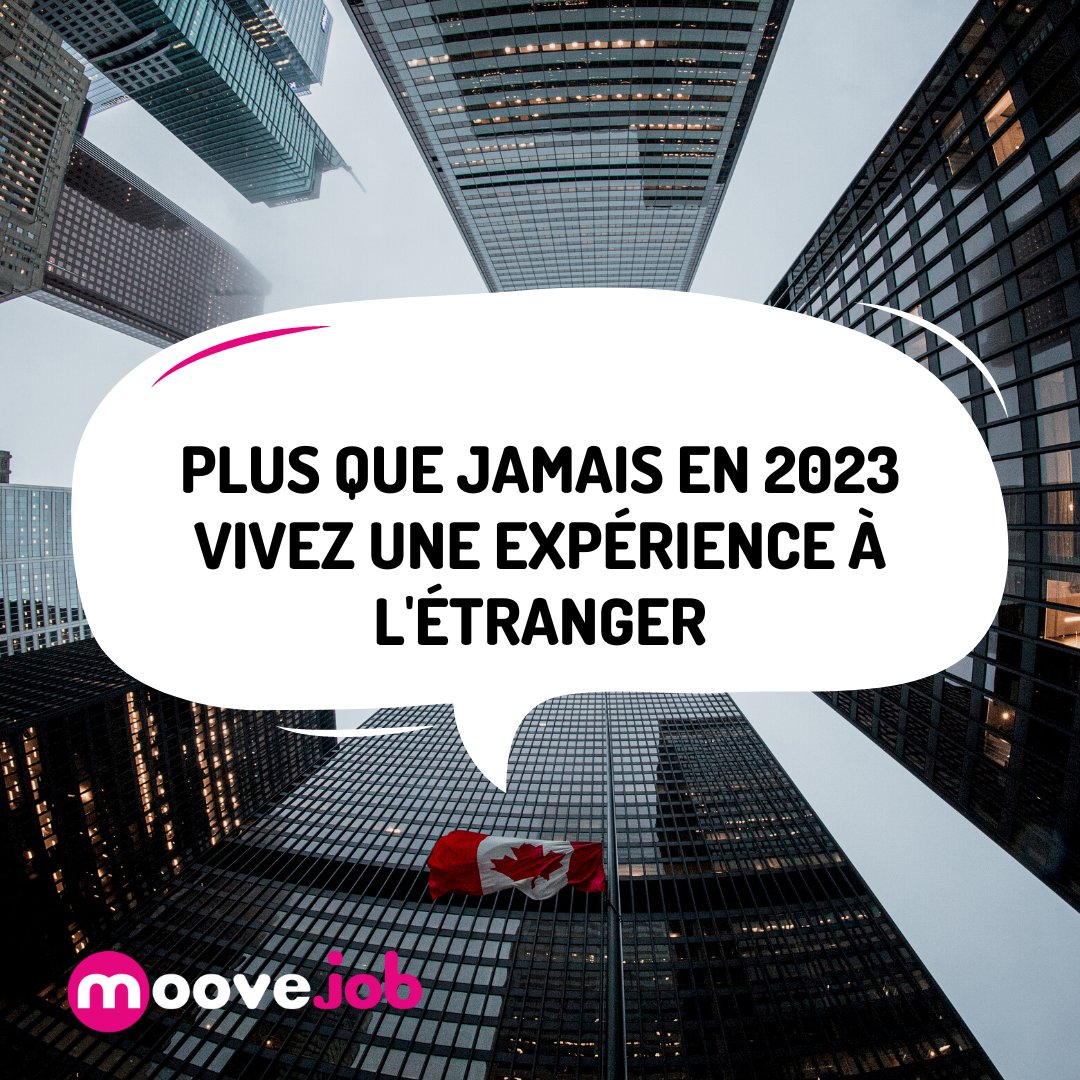 🔎 Êtes-vous à la recherche d'une opportunité internationale?

Découvrez moovejob.com, la plateforme de #recrutement international pour les professionnels en mouvement.

"Le monde est à vous, partir travailler à l'étranger peut changer votre vie"

#Opportunités
