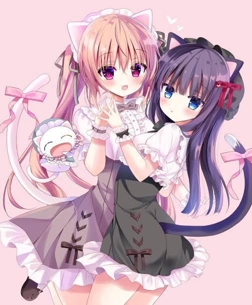 花梨と愛莉とシロ

#猫の日 #にゃんにゃんにゃんの日 