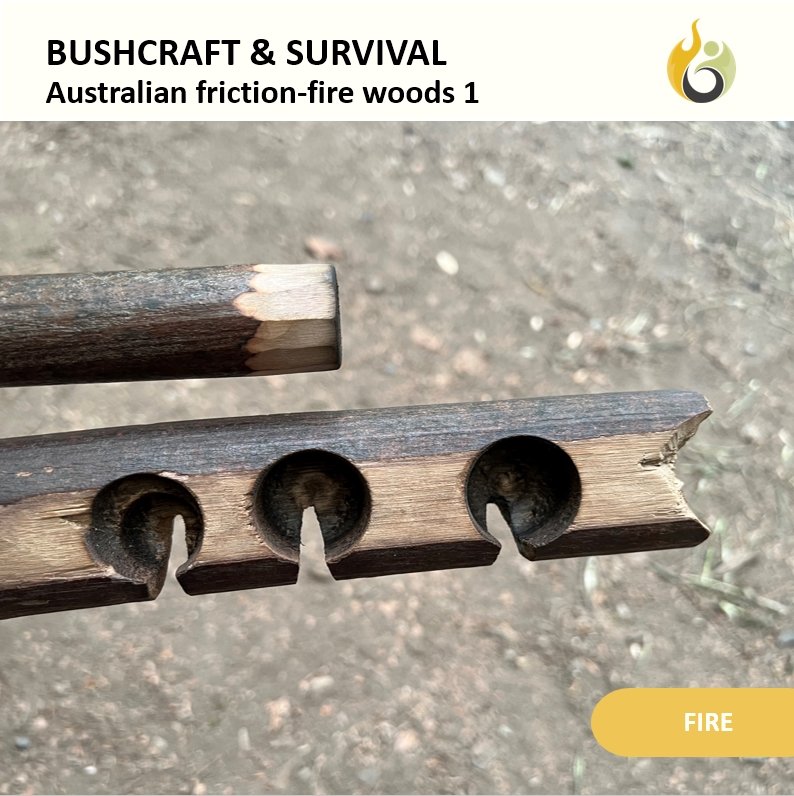 Bushguide101 tweet media