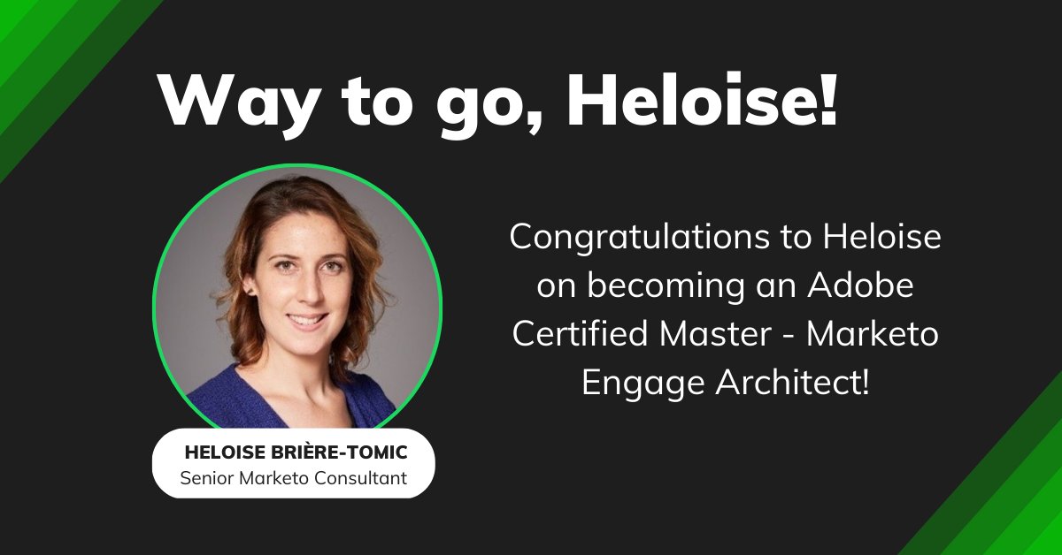 Perkuto + MERGE tweet media