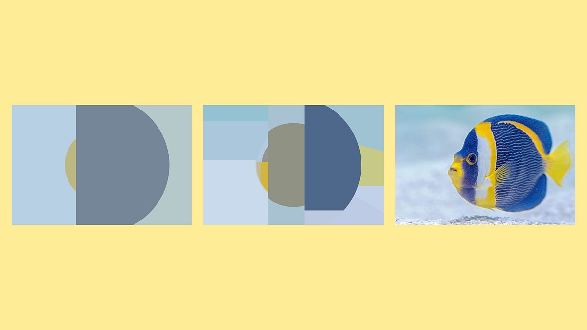 Expanding Our Horizons With ChatGPT dlvr.it/SjmMlN