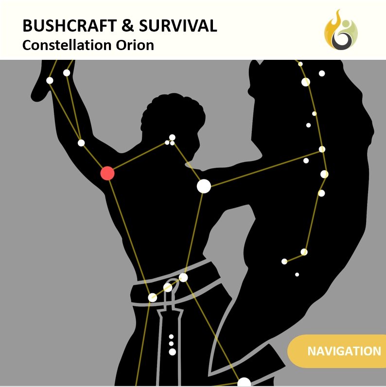 Bushguide101 tweet media