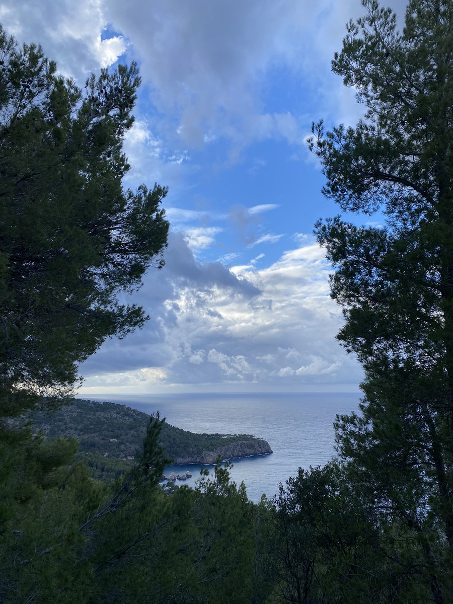 dfbbygrl's tweet photo. Tb to Mallorca <33 https://t.co/f6mtvOpDJg