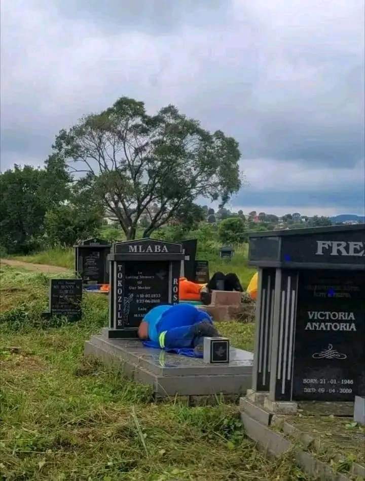 kekgadiyabana's tweet photo. Surely 1 of the terms of employment at EPWP is you must be a sleepaholic. You can go everywhere this people never dissapoint when coming to sleeping https://t.co/ec1rtflUn3