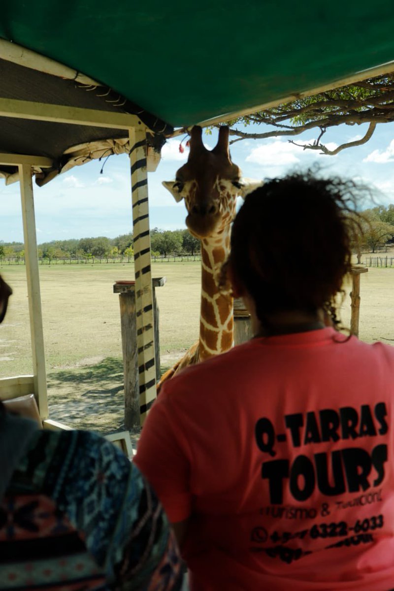 qtarrastours's tweet photo. Nos fuimos a Costa Rica 🇨🇷, Pura Vida. Disfrutamos del Safari. Te invitamos en junio disfrutes nuevamente.65781718 https://t.co/zaoy9T2HSh