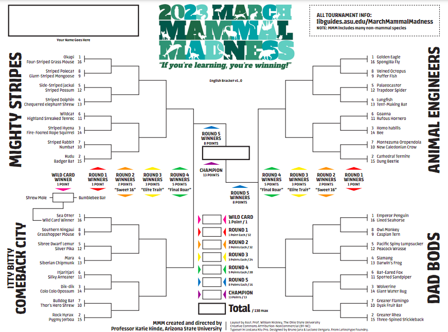 Mammals_Suck's tweet photo. Brackets, we got your #2023MMM BRACKETS! 
We got English!
We got Spanish!
We got Latin Binomial!
We got Screen-Reader Compatible!
We got JUMBO versions for little hands that write big!
&amp; MORE!
Special thanks to @nickleyw, @je_light, &amp; Miguel Rubio-Godoy! 
https://t.co/R3LuyXnfbA https://t.co/KzbuCn19df