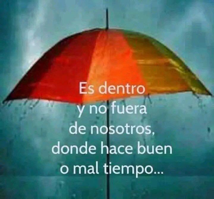 artmagic_g's tweet photo. En Art&Magic trabajamos contigo para vibrar alto, se positivo.!
#yointerior
#vibracion
#FelizMartesATodos https://t.co/F0CoVIS8kb