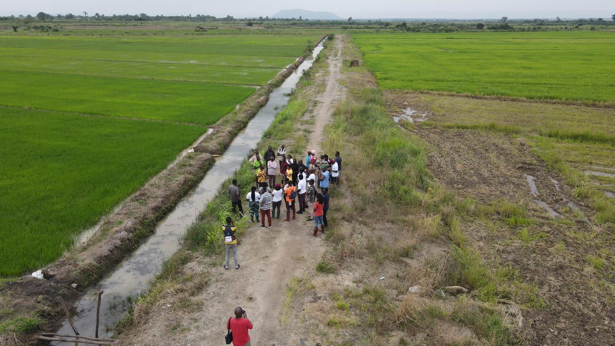 nserewagh's tweet photo. When you sponsor any of our productions, you get to go on field trips to see how things are done on the ground.

Here's a video and photos from our last #Nserewa rice tour.

Read more about us via https://t.co/H1IWqxGonf https://t.co/WdZd73AjJF