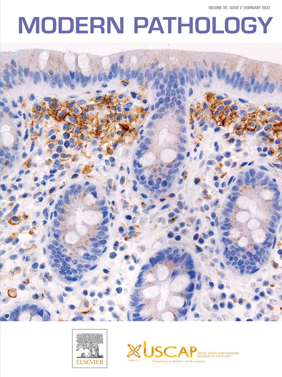 Jason L. Hornick, M.D., Ph.D. tweet media