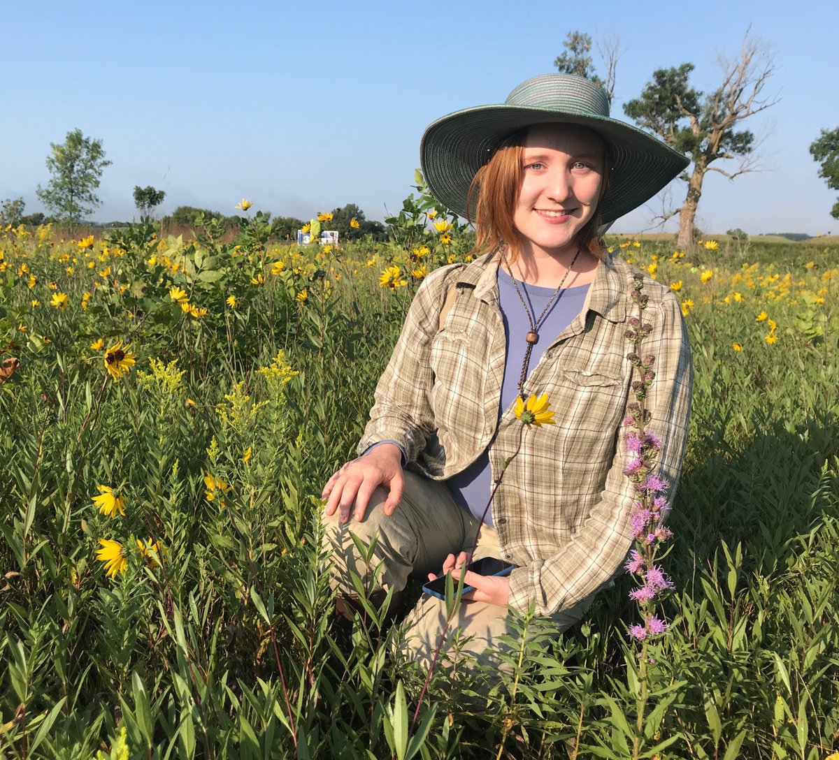 Echinacea Project tweet media
