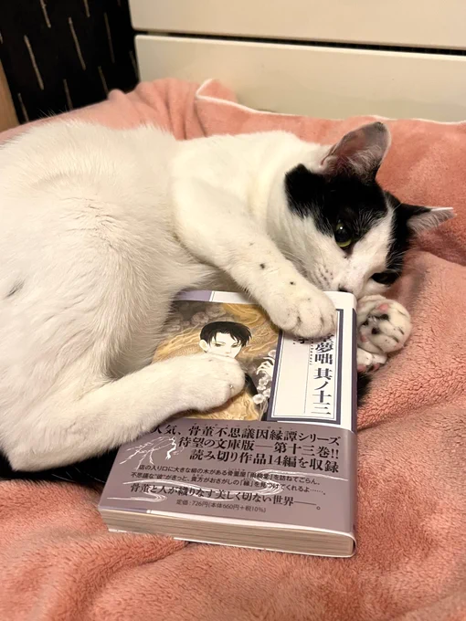 猫の日の前日、2月21日に発売しました。(猫の日関係ない)
文庫版『 雨柳堂夢咄 其ノ十三』朝日新聞出版。よろしくお願いいたします。
https://t.co/VHESyWMU59

私にとってこれが最後の漫画文庫になると思うので、なにとぞなにとぞ。なぜ最後かと言いますと→ 