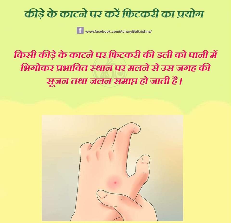 कीड़े के काटने पर करें फिटकरी का प्रयोग