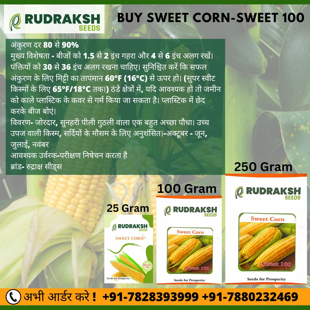 Buy Sweet Corn Sweet 100 at Rudraksh Seeds
बीज की आवश्यकता / एकड़ - 3 से 4 किग्रा /
उत्पादन / एकड़ - 8-10 टन / एकड़ लगभग
अभी आर्डर करे +91-7828393999
#rudrakshseeds #sweetcorner #sweetcornrelish #seeds #sweetcornchowder #sweetcornseed #sweetcorns #sweet100 See less