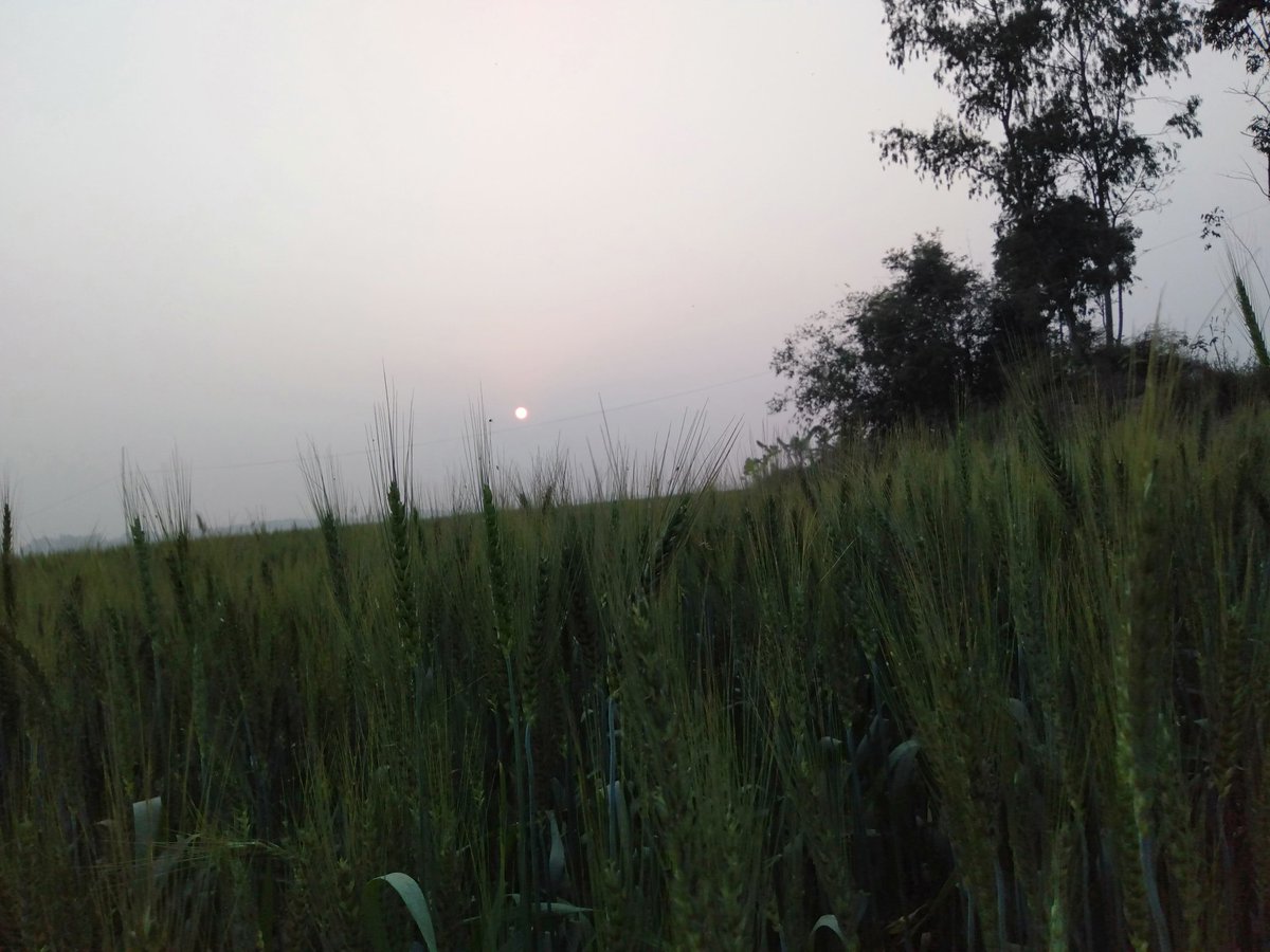 Shakila136's tweet photo. Loving Nature https://t.co/80EKURxZ9g
