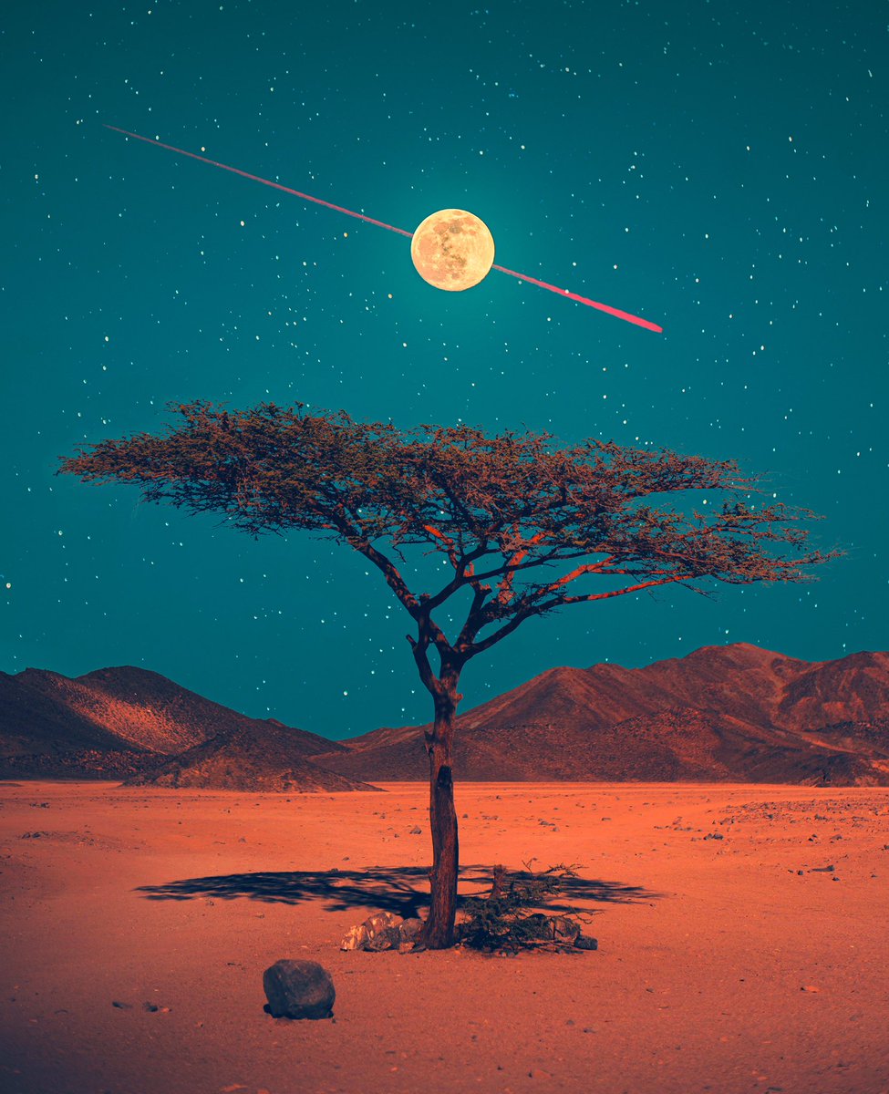 POSTWOOK's tweet photo. a love letter to the moon 💕 gm https://t.co/d4vxUnoWjC