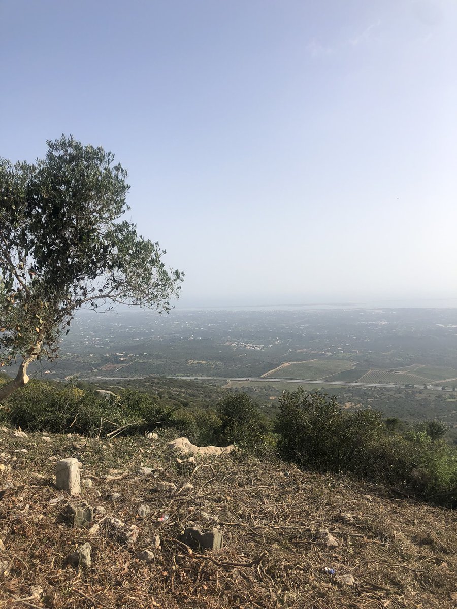 Another day in Olhao flows… 

🇦🇺 Coach mentoring session with client down under in Oz

 💻 Coaching client conversations 

🏃🏽‍♀️ Athlete mindset coaching 

🚲 Cycling up biggest hill in the neighbourhood 

🧘🏼‍♀️ Now to step away from tech for yoga retreat…