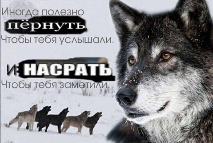 LiebeHuibe's tweet photo. @anmuulop https://t.co/13HrrLdqgk
