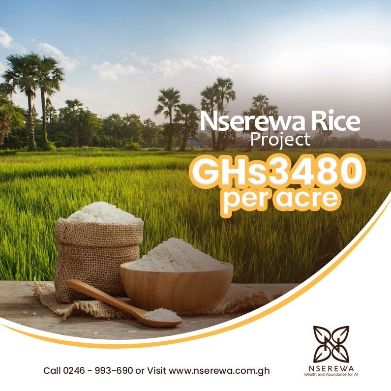nserewagh's tweet photo. When you sponsor any of our productions, you get to go on field trips to see how things are done on the ground.

Here's a video and photos from our last #Nserewa rice tour.

Read more about us via https://t.co/H1IWqxGonf https://t.co/WdZd73AjJF