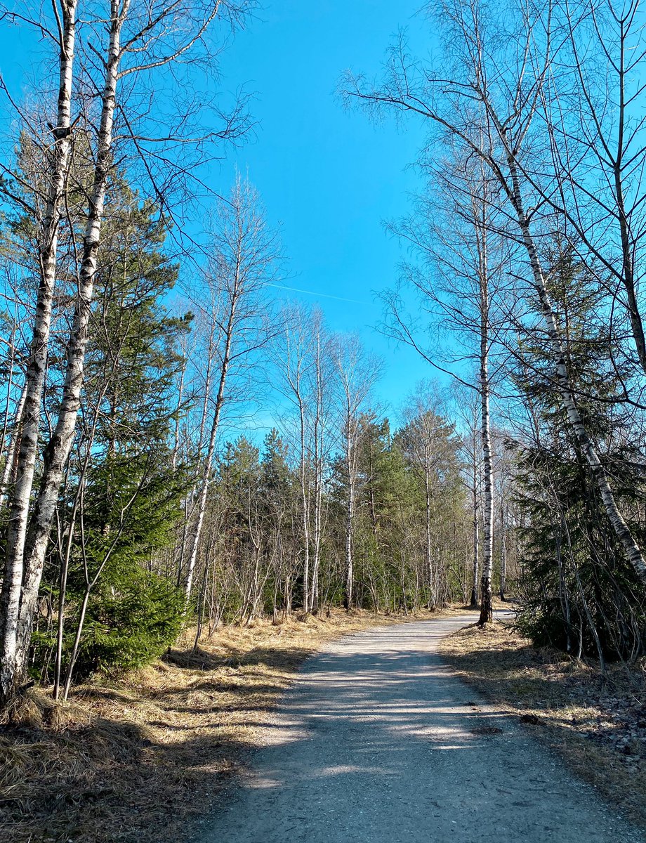 Spontaneous afternoon escape from #homeoffice, soaking in 15 degrees and sunshine before winter comes back. #bavaria #bayern #isar #outdoor