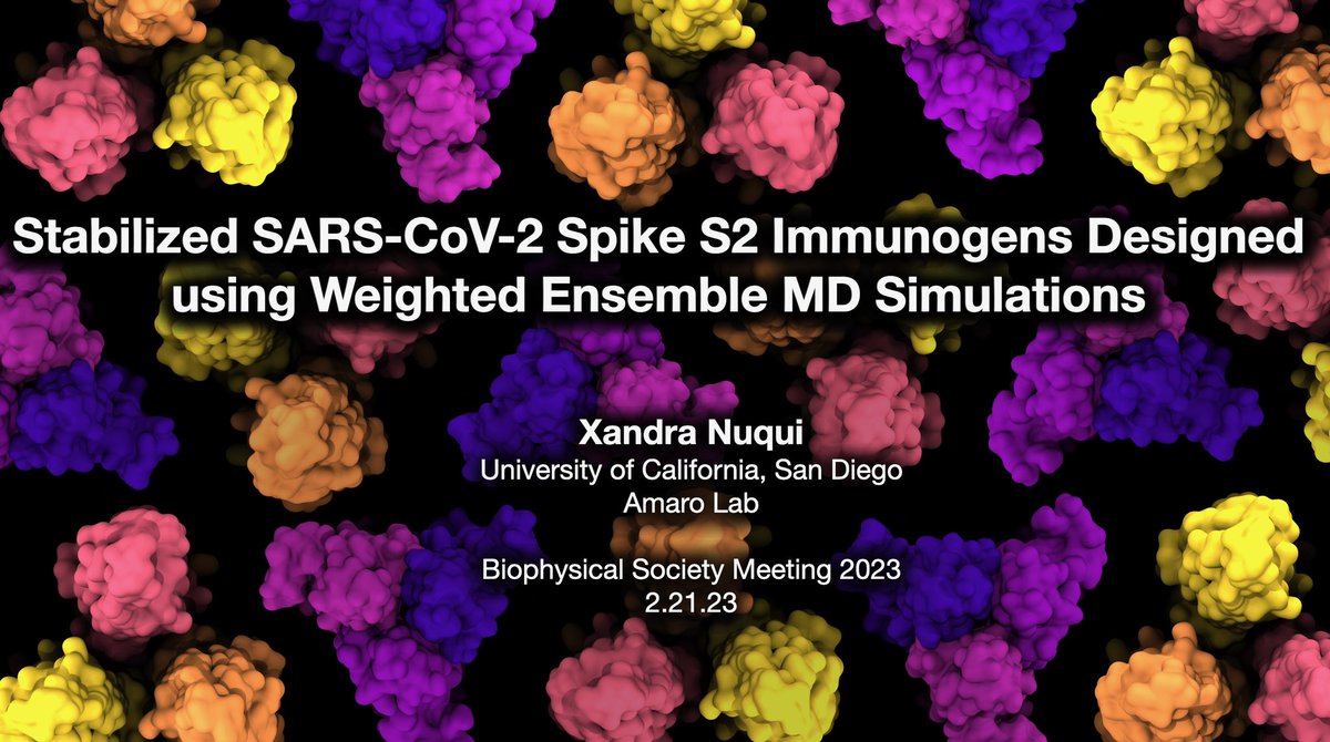 Beyond excited to announce that I’m giving my first ever talk at #BPS2023 today! If you’re interested in SARS-CoV-2 immunogen design or enhanced sampling MD, you won’t want to miss out on this. Come by Room 5AB at 12pm!