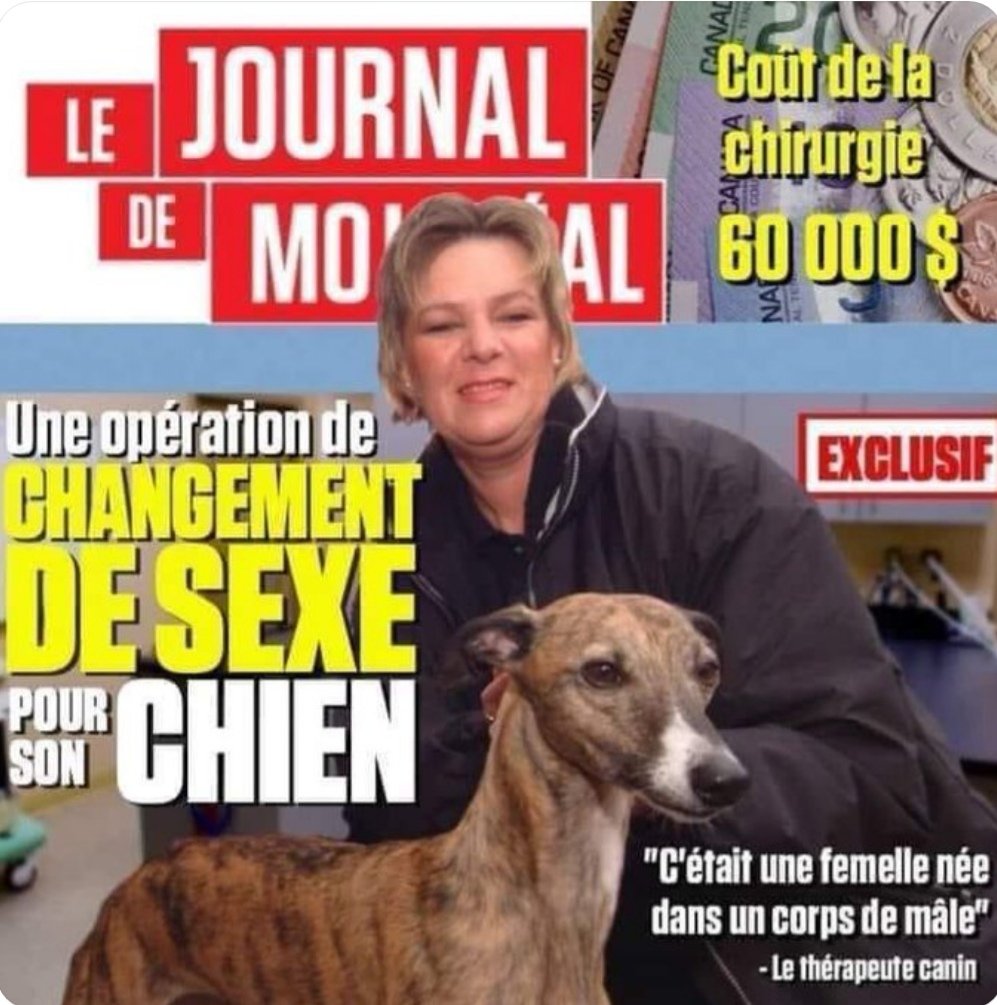 Olivier40121476's tweet photo. #Transgenre #InstinctAnimal 😭
#NoRespect #Satanisme 

Ça commence à vraiment mal tourner cette histoire, les gens qui votent macron ont craqué totalement 😓 https://t.co/1GgLxFil30