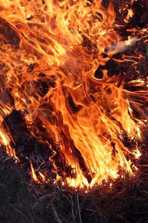 HolisticRoom's tweet photo. Read about the dangers of inflammation and what you can start doing today to reduce and even reverse it. 
---> https://t.co/OgtbYojwDC https://t.co/PfGxzFkkrg