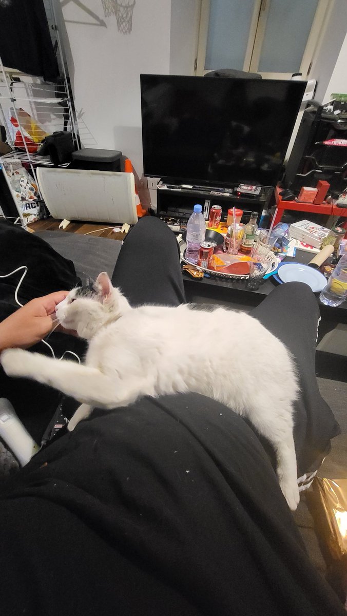 NobzyNobz's tweet photo. Bon, j'pense que c'est un chat de gouttière hein, maiiiis si jamais qqn a perdu son chat dans les alentours de Melun, et qu'il ressemble à ca (blanche avec taches noires, absence de queue)
Faites signe hein
#Chat #Chatdisparu #Melun https://t.co/sW0WRY3E4w
