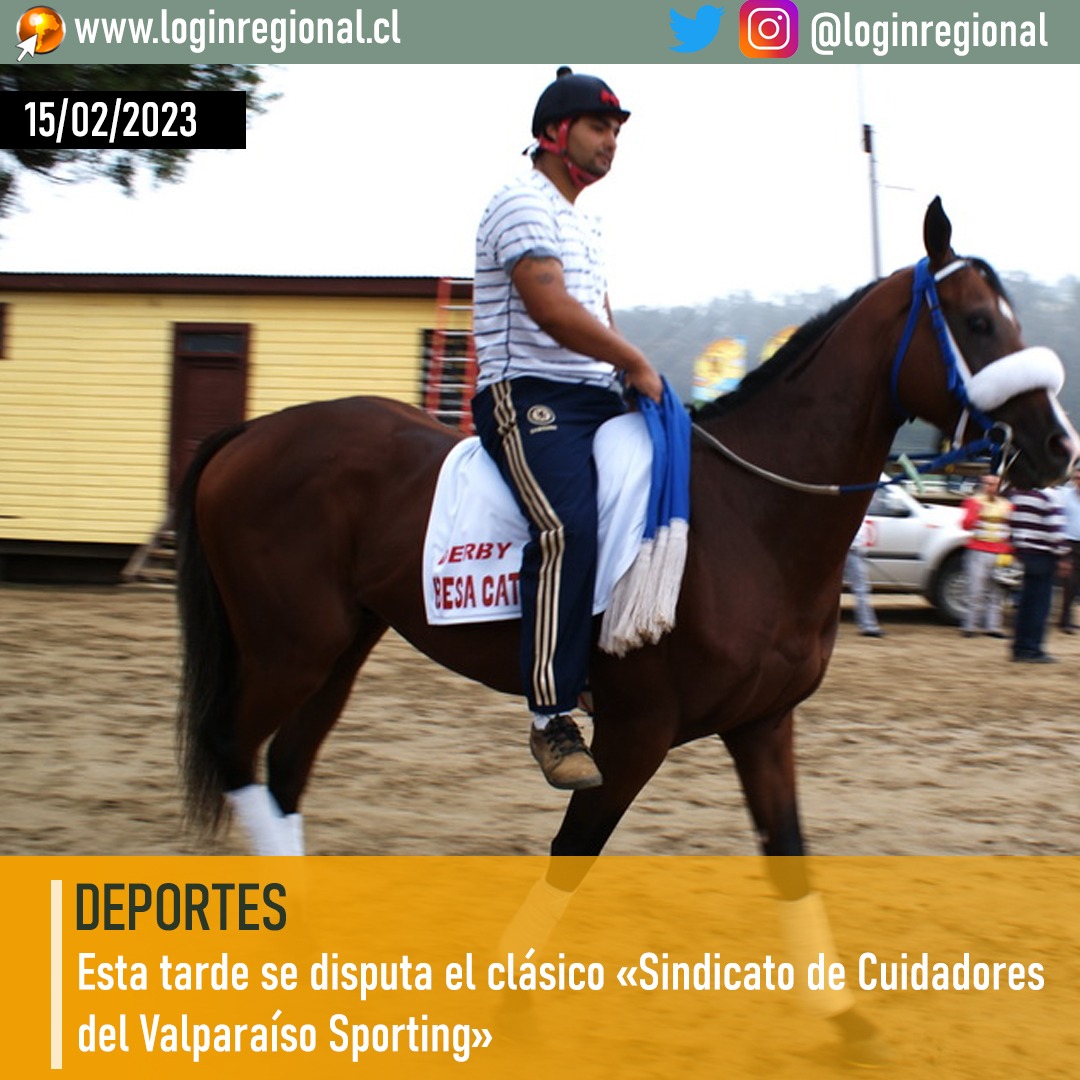 loginregional's tweet photo. #Deportes Los cuidadores de FS del Valparaíso Sporting, vivirán una tarde de homenajes en el recinto viñamarino
https://t.co/P7VunP1hPs https://t.co/0oZCMfmQKo