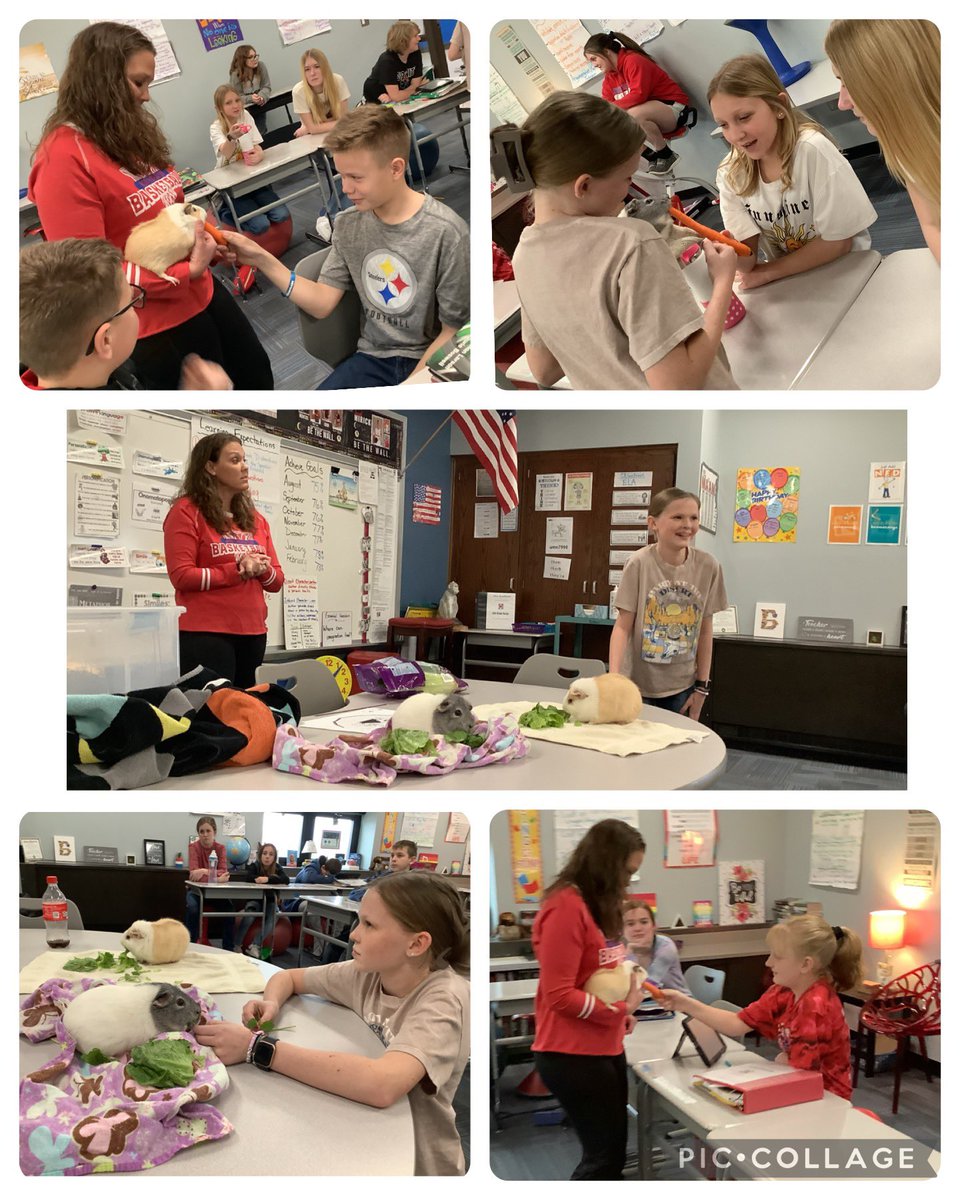 Thank you Callie and Liz for sharing your adorable guinea pigs with us last Friday <a href="/ndeschargers/">North Elementary</a> ! We learned so much about them and think they’re adorable!! ❤️🐹🥕🥬 #BringAPetToSchoolDay #HowFun #FarmLife #AllAboutExperiences #ndeschargers