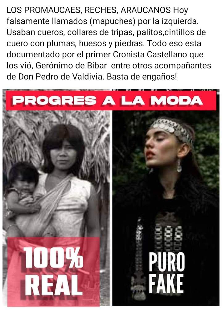 falsaplandemia's tweet photo. #Alcoholes
Tonce, el alcohol gel era más falso que el ministerio #Irinakaramanos ! https://t.co/XG87t8zGL7