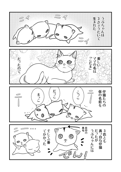 猫の日になりました。うちの白猫姫、うぶちゃんとの出会いの話をマンガにしました。全ての猫が幸せでありますように。
#ねこの日 #2023年2月22日 #にゃんにゃんの日 #漫画が読めるハッシュタグ 