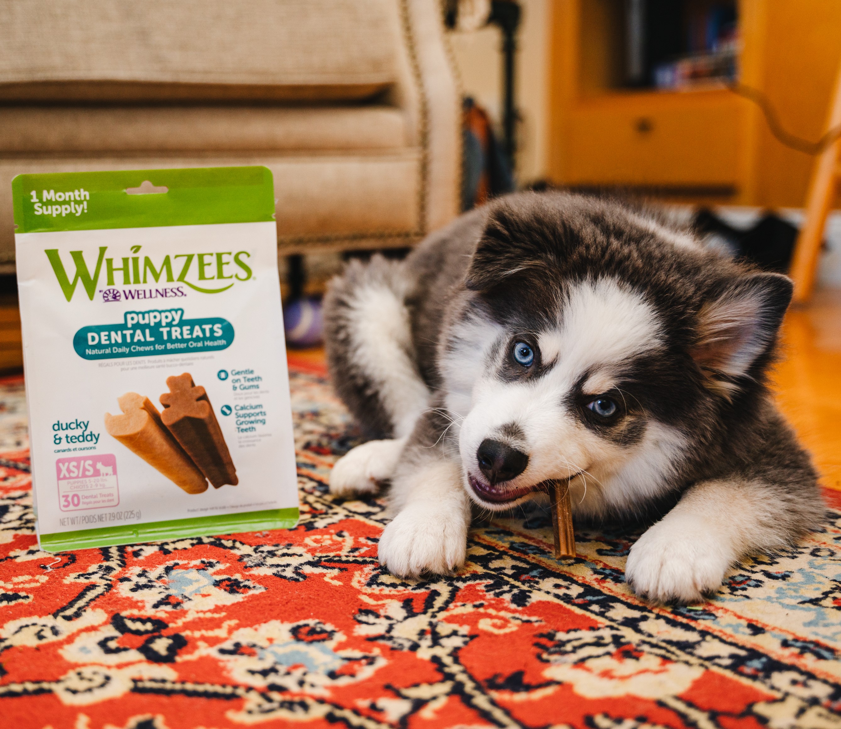 Wellness Pet Food (wellnesspetfood) / Twitter