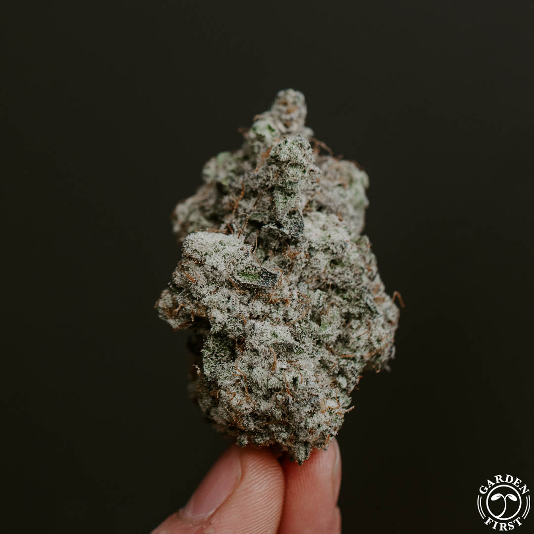 GardenFirstLLC's tweet photo. Trichome Tuesdays!! ❄️
Had to throw up a #repost of this MAC 1, she's just way too pretty!
Keep an eye out for this nug in the @oregonleaf magazines!!
#gardenfirst #1percentfortheplanet #hightimes #puffpack #oregonleaf #marijuana #marijuanamania #cannabis #cannabiscommunity https://t.co/ejSLPbgUbn