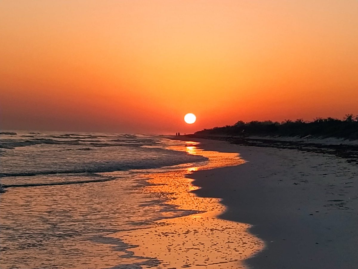 Bon dia, que disfrutemos la belleza interior 💛😁🤗