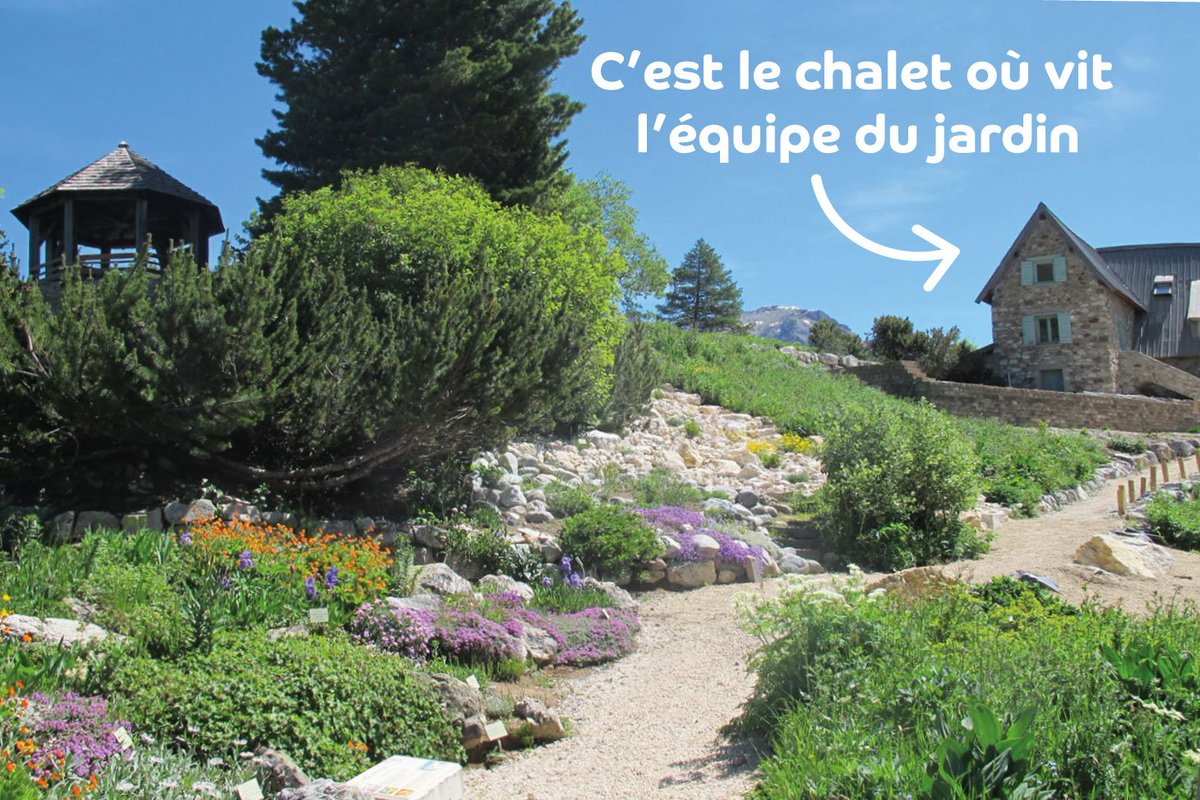 Jardin du Lautaret (UGA/CNRS) tweet media