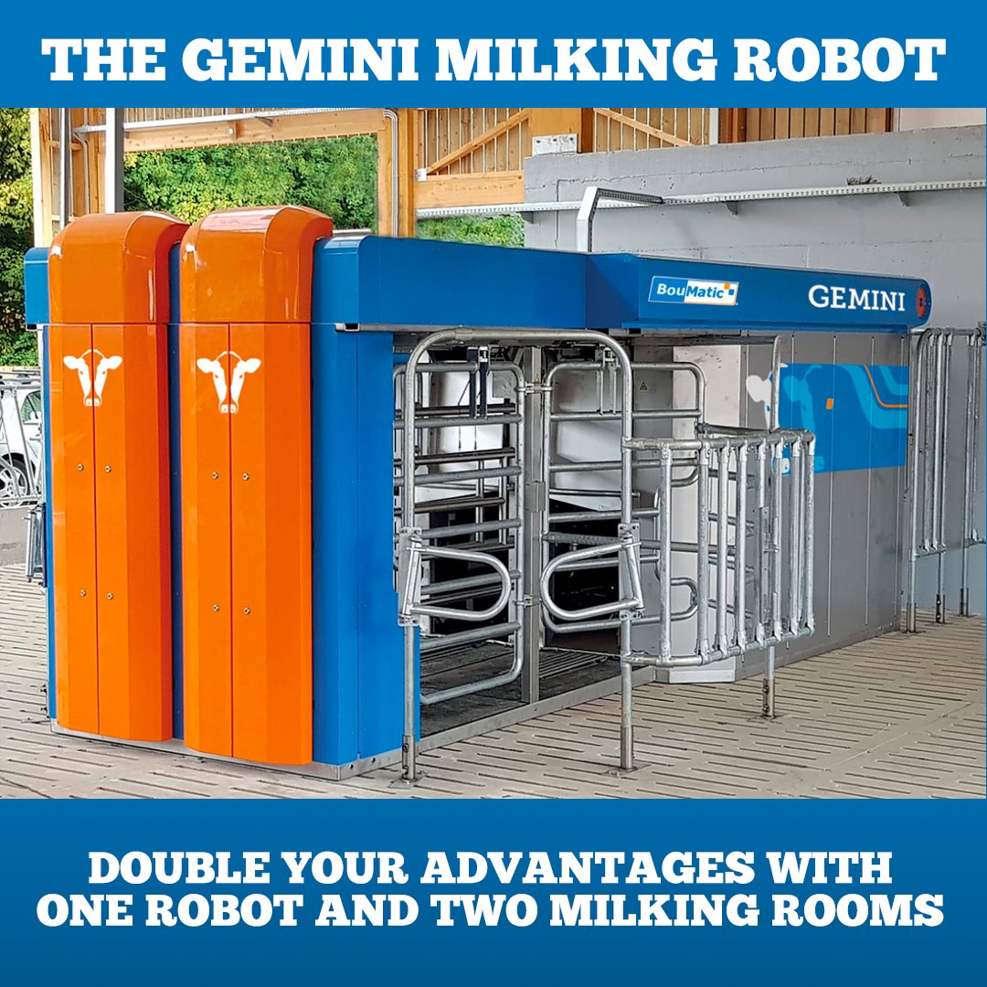 ATLdairy.ca (@atldairy) on Twitter photo No, you are not seeing double! The Boumatic Gemini milking robot is quick to install and gives you one robot and two boxes. An excellent and cost-effective method for milking and growing your herd. Contact <a href="/Trevor_Dillman/">Trevor Dillman</a> at (902) 751-1058 to learn more about the Gemini! No, you are not seeing double! The Boumatic Gemini milking robot is quick to install and gives you one robot and two boxes. An excellent and cost-effective method for milking and growing your herd. Contact <a href="/Trevor_Dillman/">Trevor Dillman</a> at (902) 751-1058 to learn more about the Gemini!