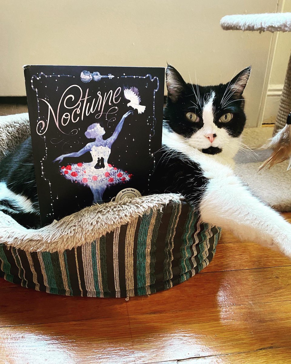 penelopekayb's tweet photo. Today is the day - NOCTURNE is out in the world!!! (Amby couldn’t wait for her copy so she’s reading the ARC). CONGRATULATIONS Alyssa and the team at Del Rey; I can’t wait for readers to fall in love with this book just like I have!! 🩰🕊🎶 https://t.co/liFiqX7hDI
