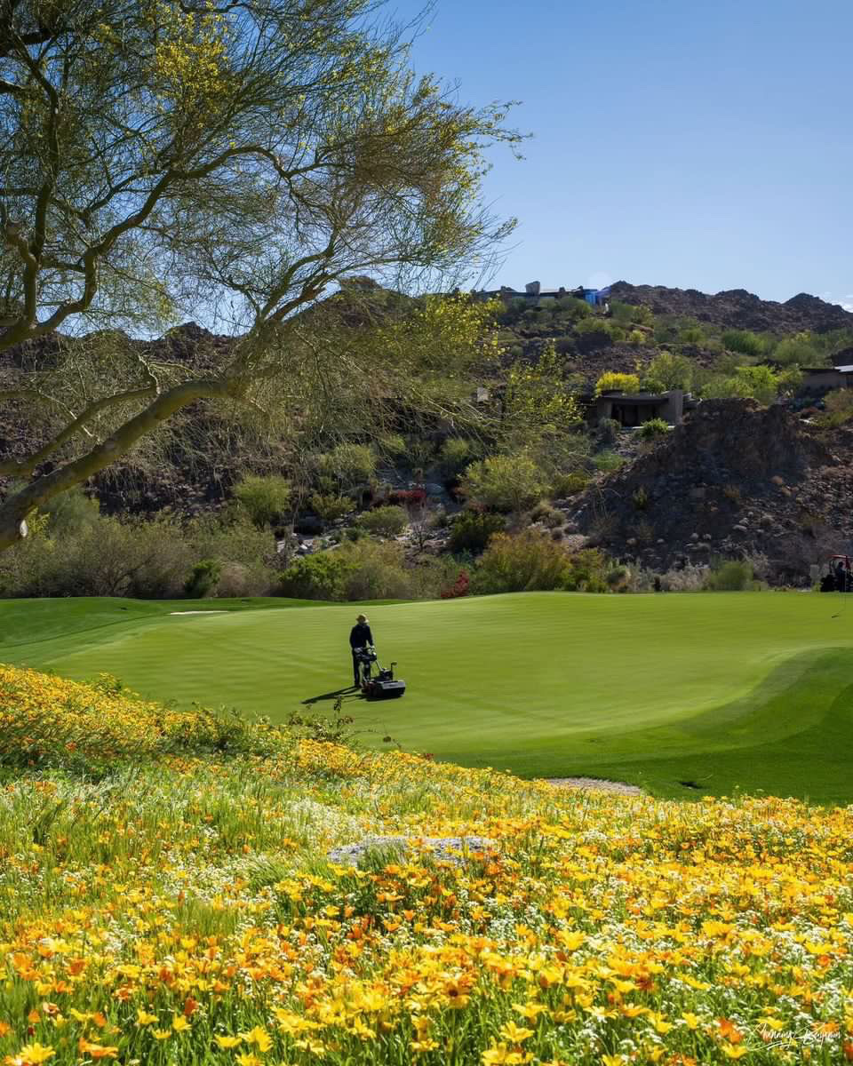GolfDigest's tweet photo. One month until spring starts. 😍

(📸: Instagram/ channingbenjaminphotography) https://t.co/kvMeywtkf6