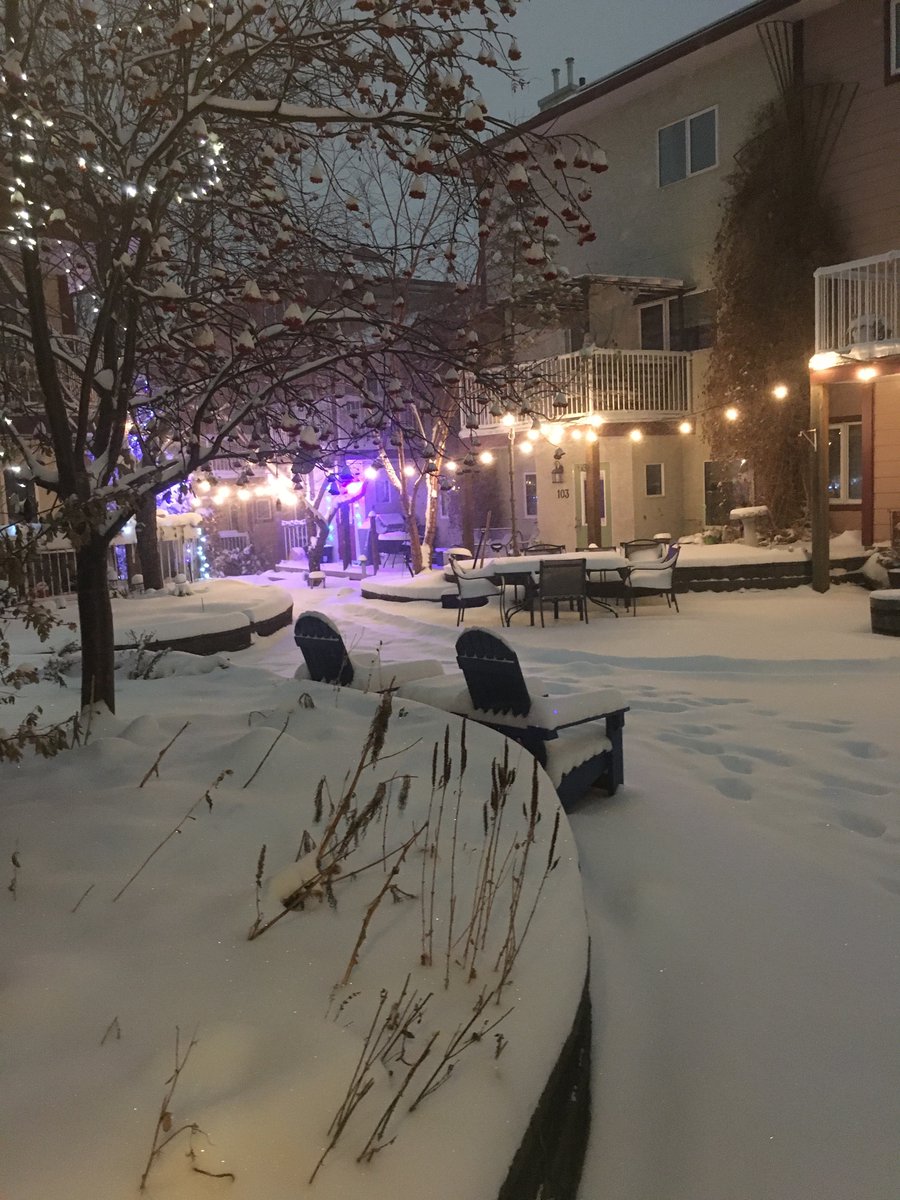 sky_yyc's tweet photo. The 3rd or 4th or 5th snow shoveling expert out this morning! #cohousing #sharedwork #yyc https://t.co/0K7wCPoygR