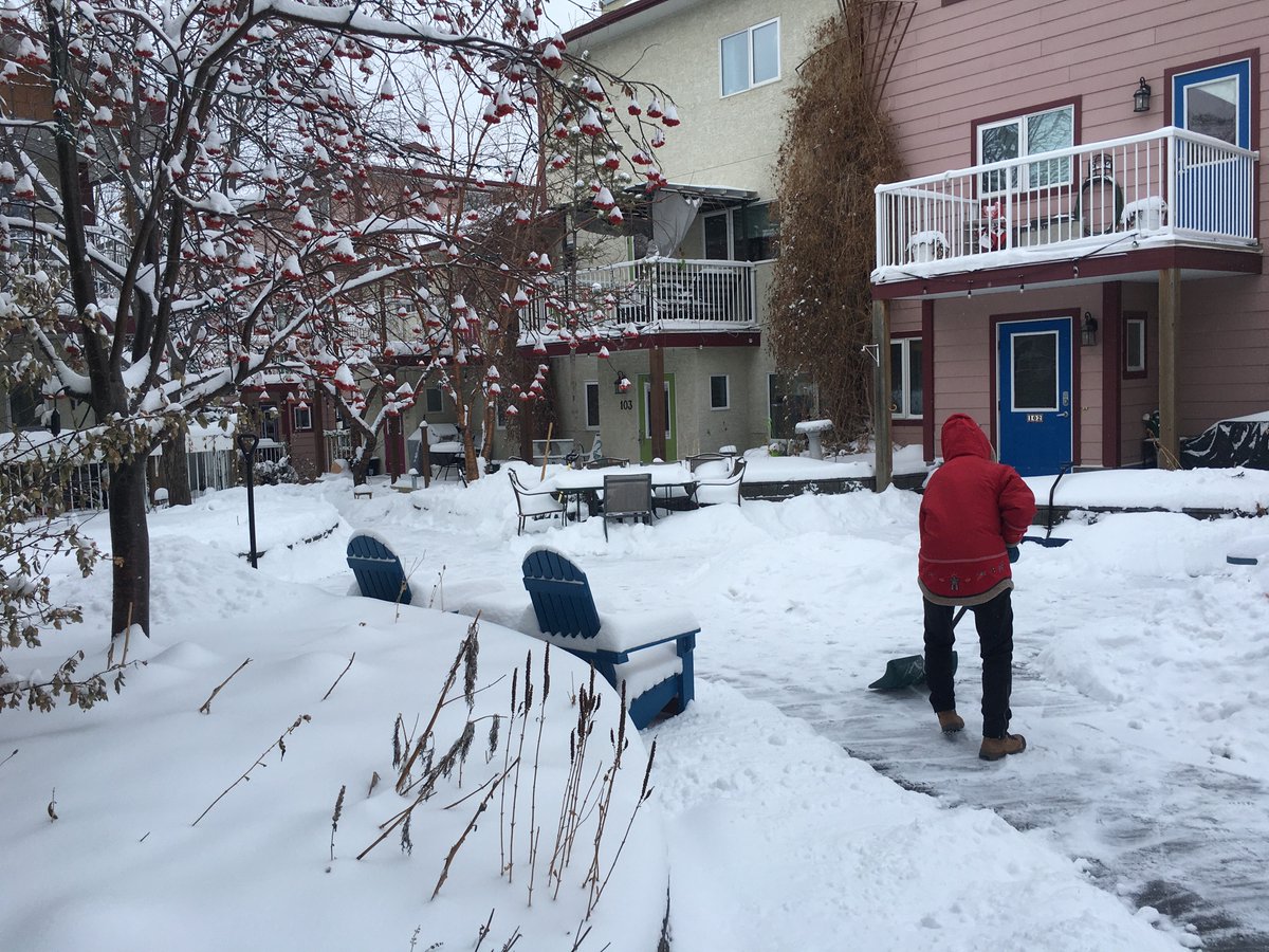 sky_yyc's tweet photo. The 3rd or 4th or 5th snow shoveling expert out this morning! #cohousing #sharedwork #yyc https://t.co/0K7wCPoygR
