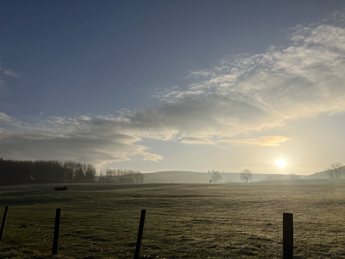 Spring has felt very close today, it always takes a bit longer to creep over the hill up here. We have a wonderful number staying for half term week, cottage and campsite busy ❤️💚 #thisisradnorshire